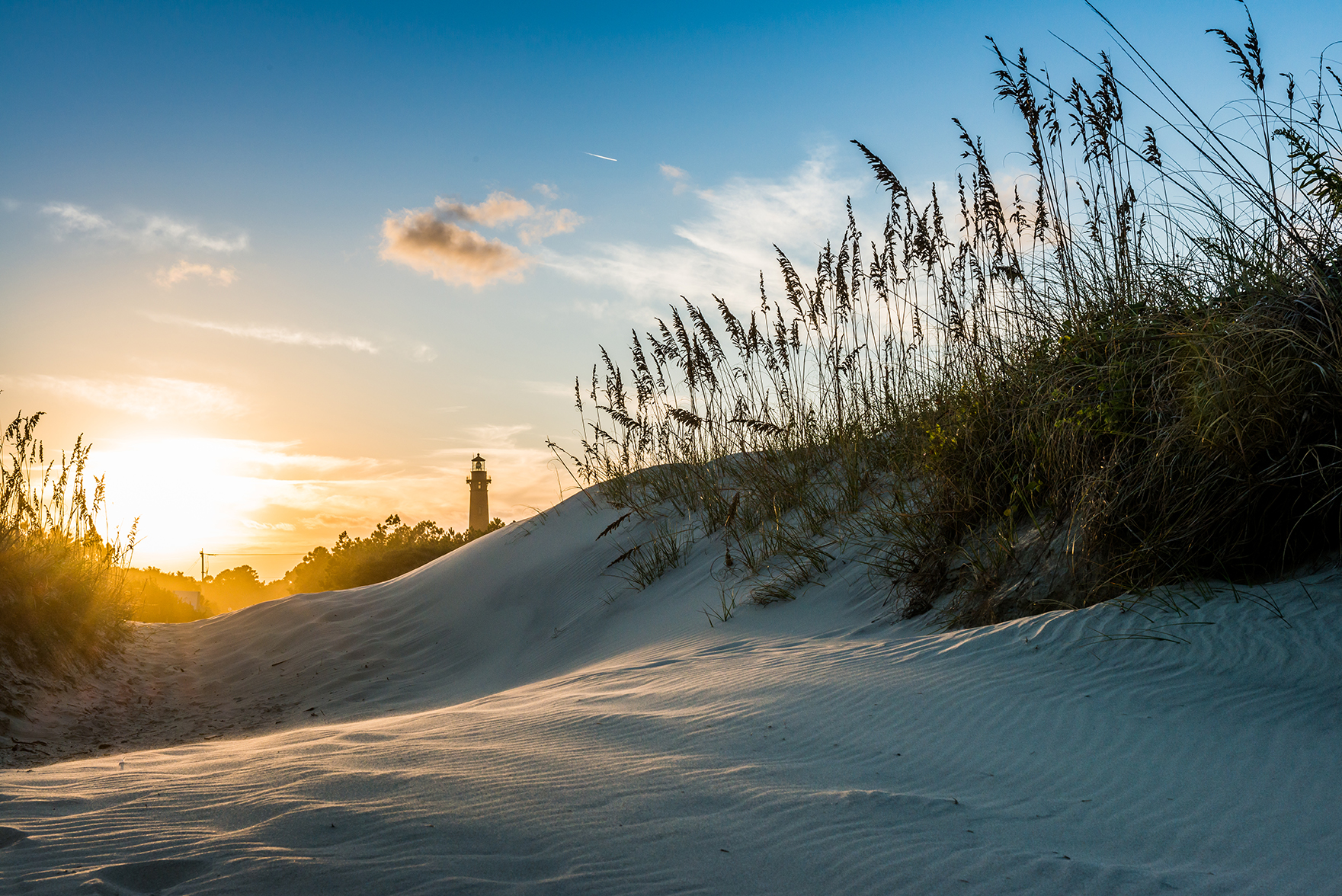 Recycled Christmas trees help form area sand dunes