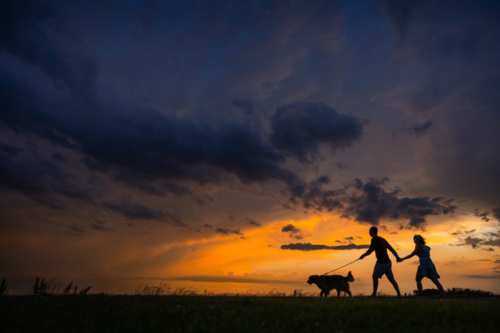 photo of sunset with dog