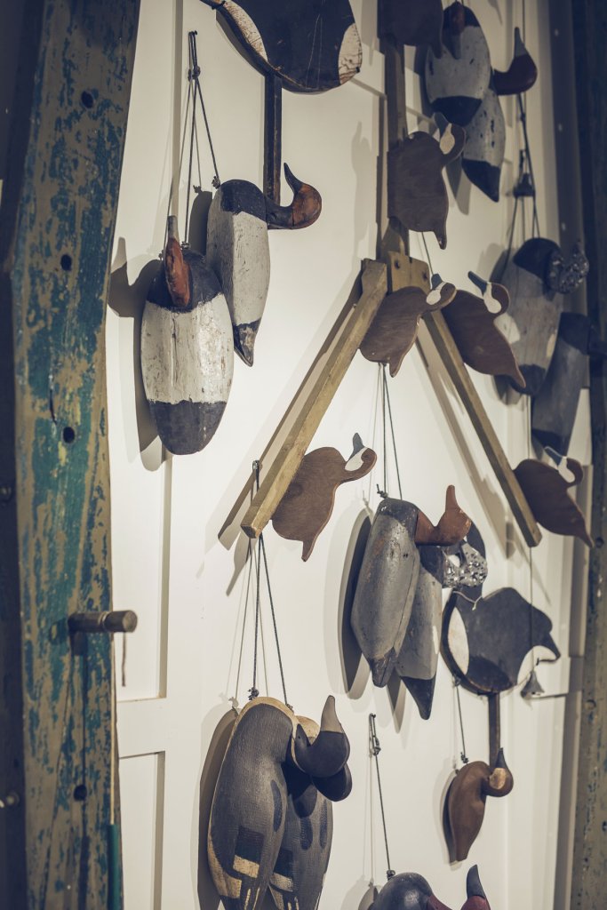 decoys hanging on wall image