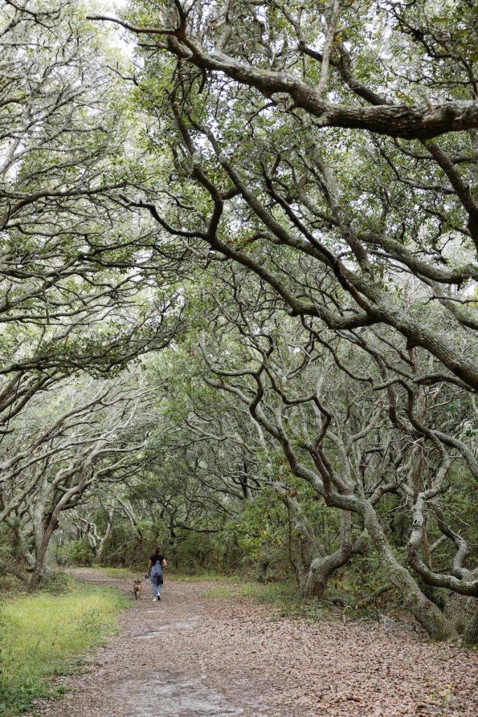 audubon sanctuary image