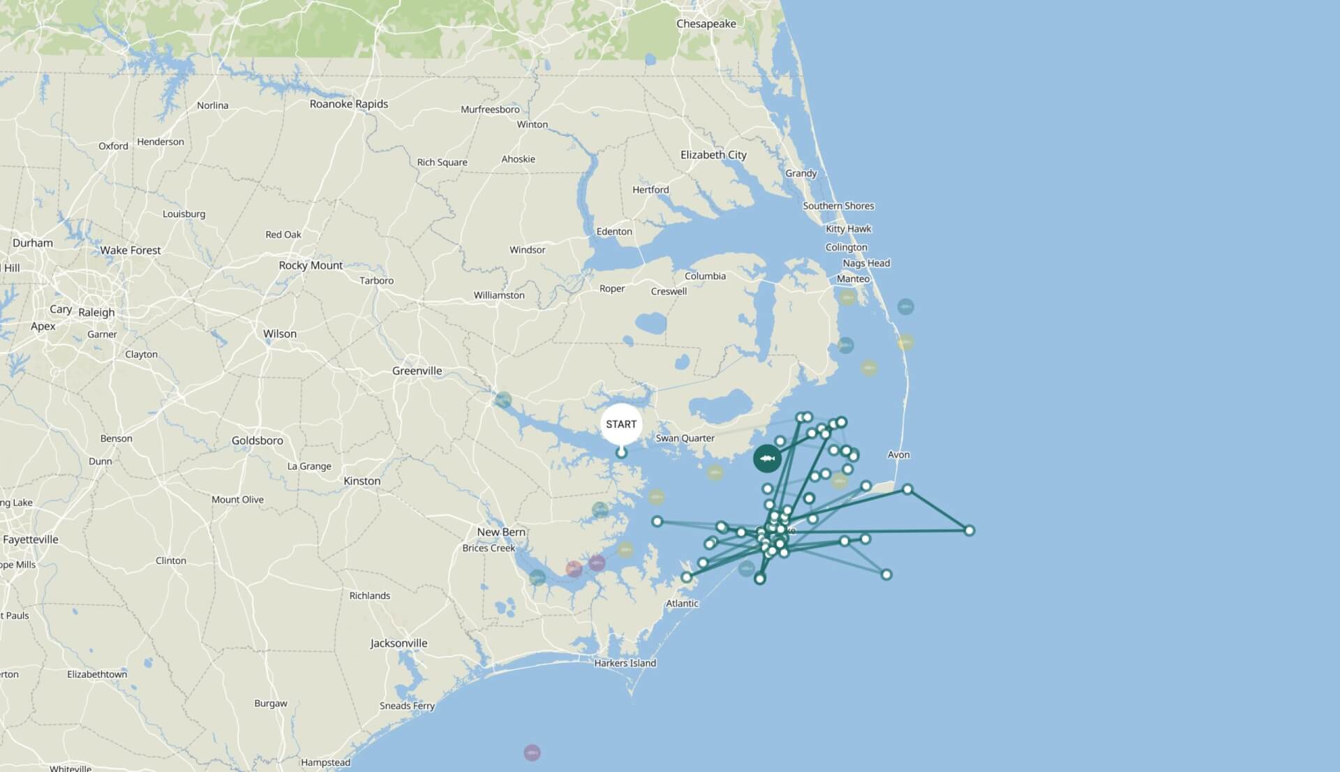 Tag, Track, Teach: The Journey of Finley, The Northern Outer Banks Red Drum