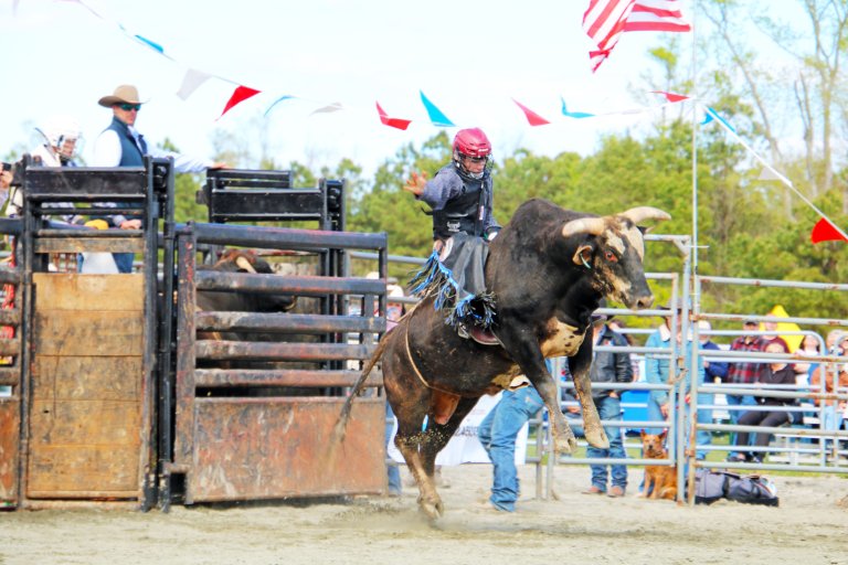 Outram Rodeo Events | Northern Outer Banks