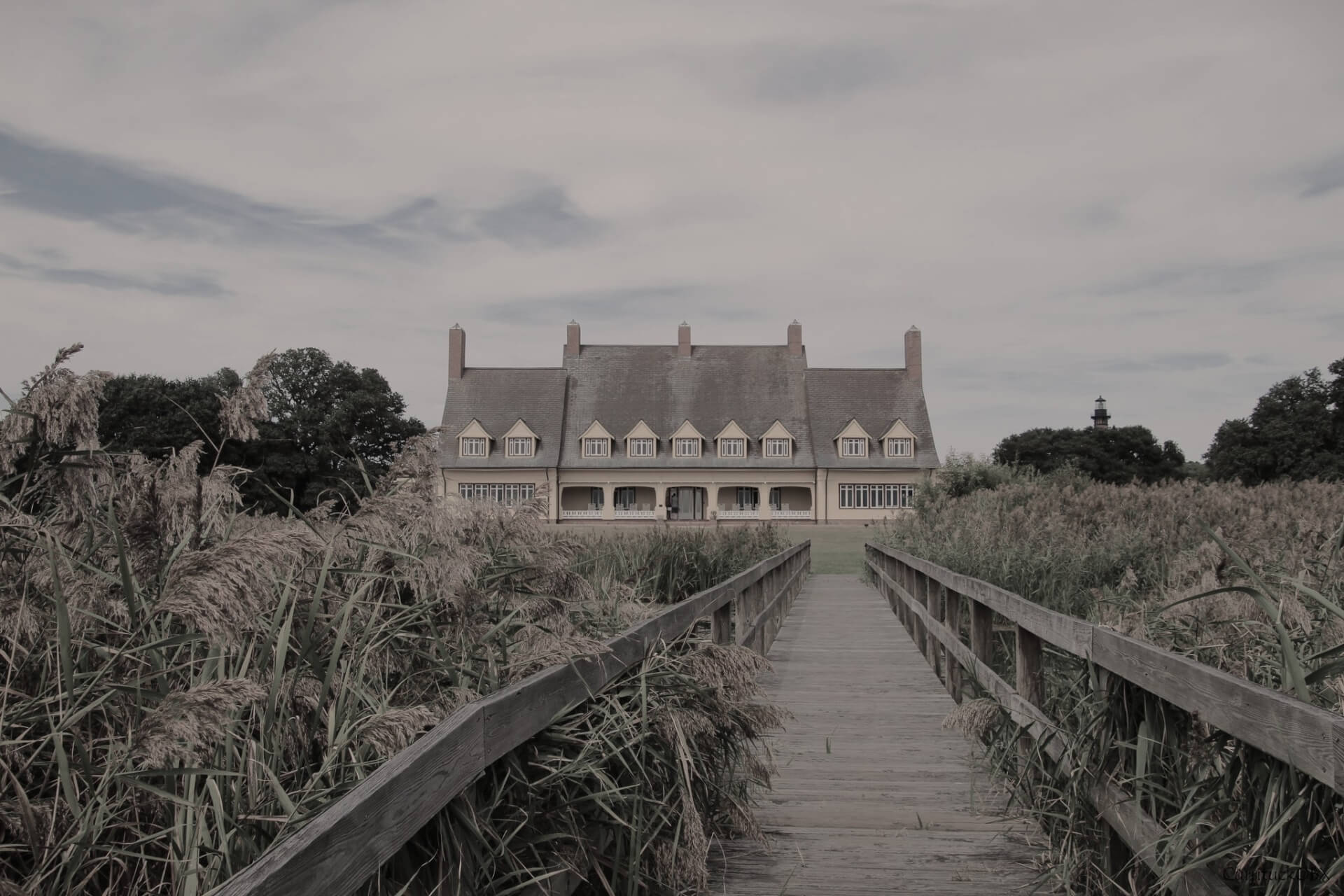 The Ghosts of Whalehead